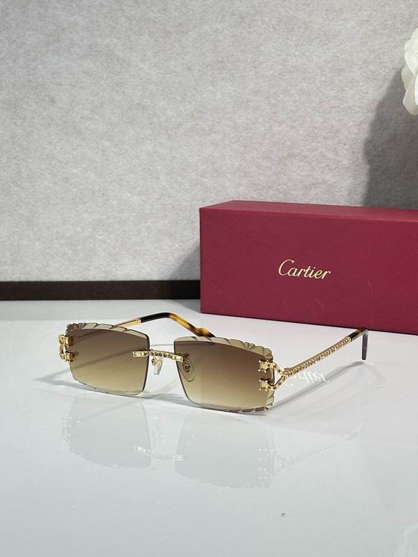 Cartier Glasses smr (1304)