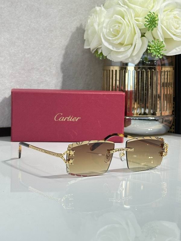 Cartier Glasses smr (1305)