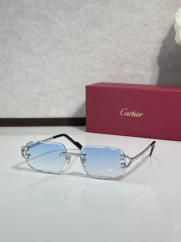 Cartier Glasses smr (1309)