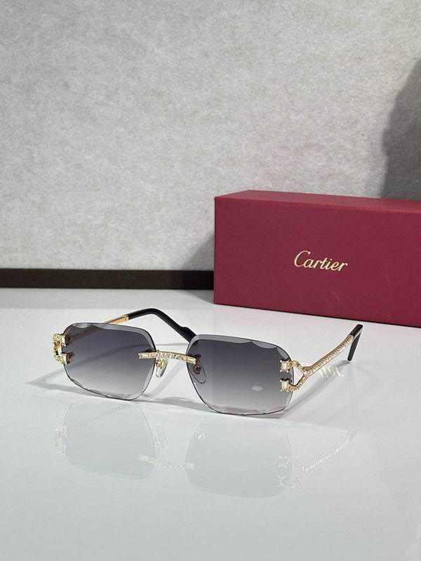 Cartier Glasses smr (1311)