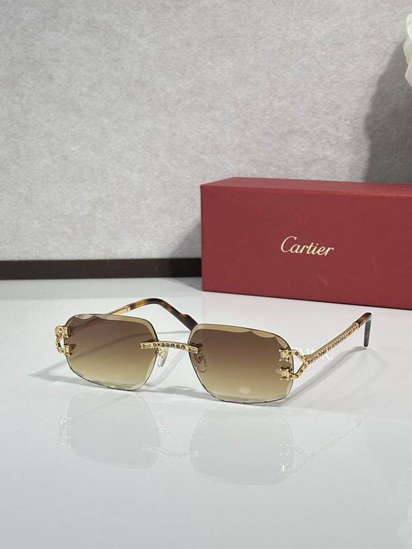 Cartier Glasses smr (1312)