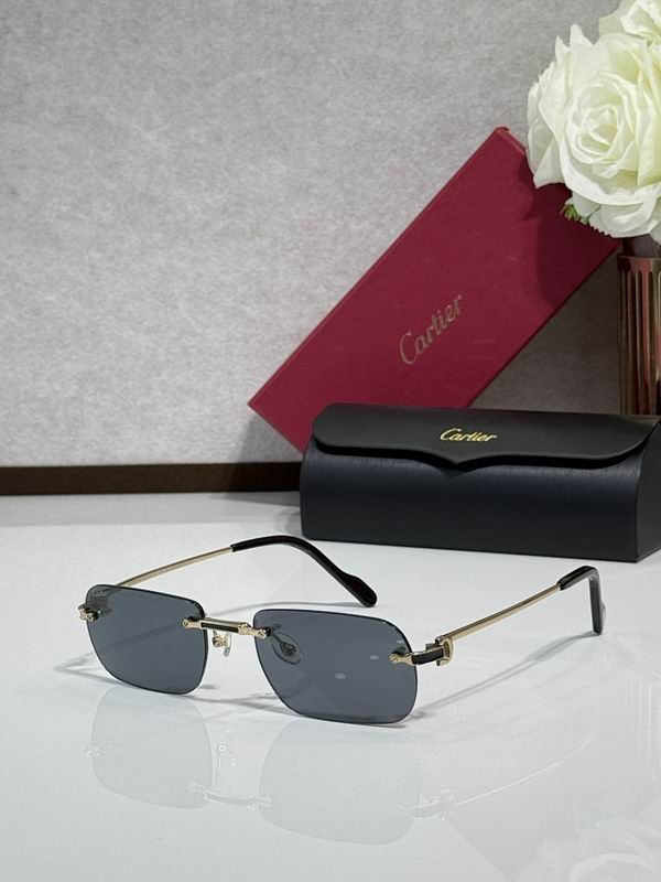 Cartier Glasses smr (1320)