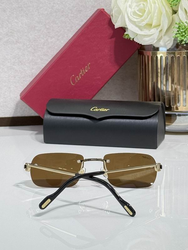 Cartier Glasses smr (1324)