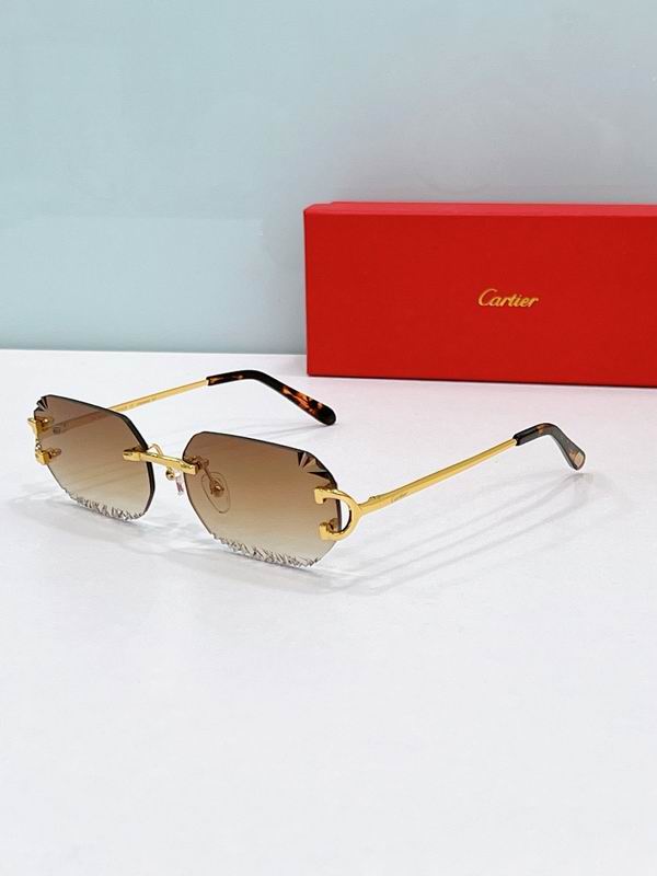 Cartier Glasses smr (1336)