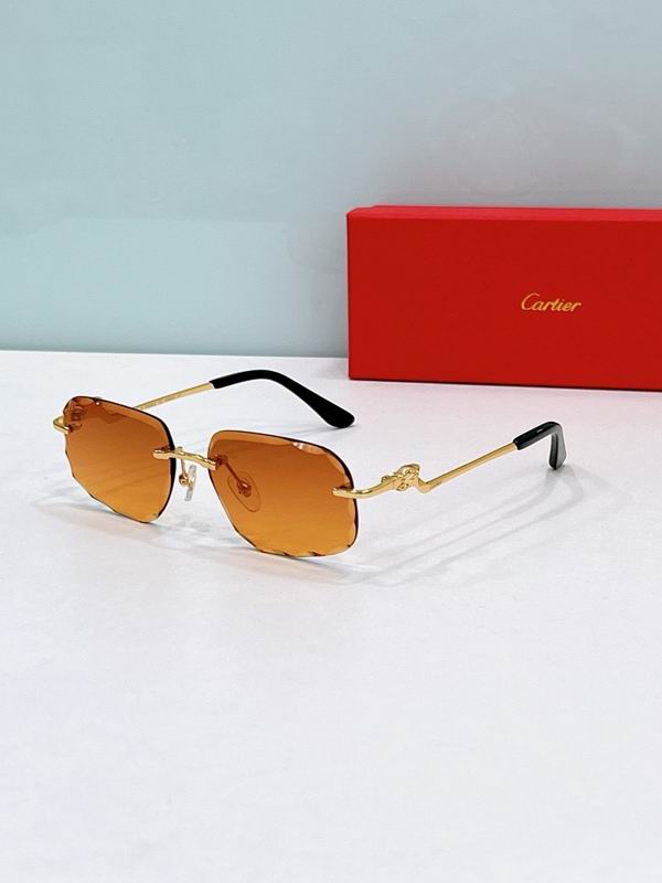 Cartier Glasses smr (1355)