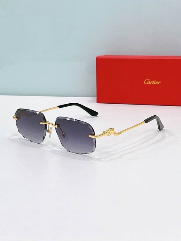 Cartier Glasses smr (1358)