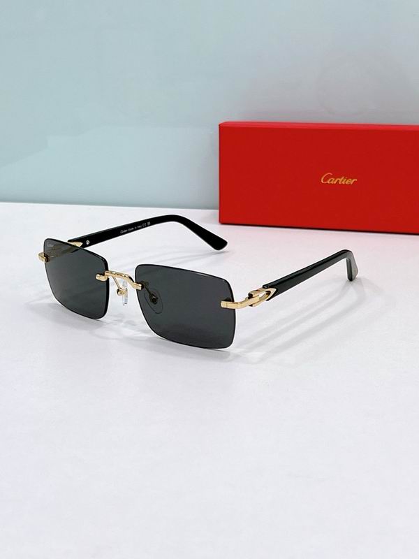 Cartier Glasses smr (1376)