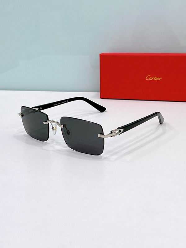 Cartier Glasses smr (1377)