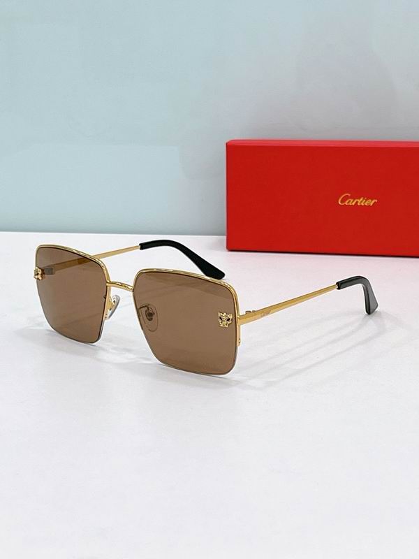 Cartier Glasses smr (1387)