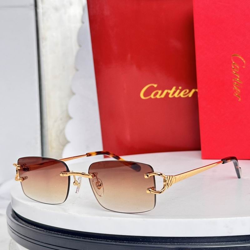Cartier Glasses smr (1393)