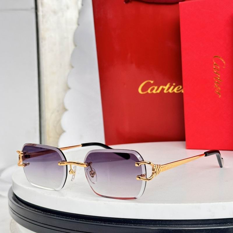 Cartier Glasses smr (1406)