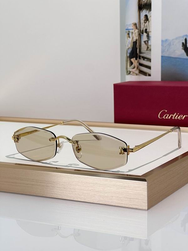 Cartier Glasses smr (141)