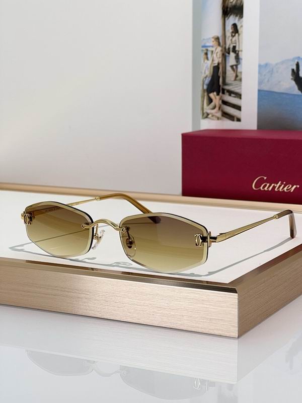 Cartier Glasses smr (142)