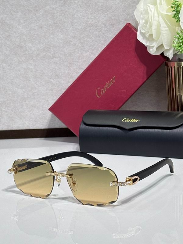 Cartier Glasses smr (1424)