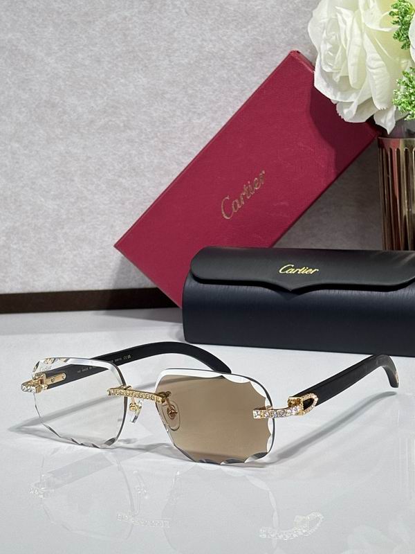 Cartier Glasses smr (1428)