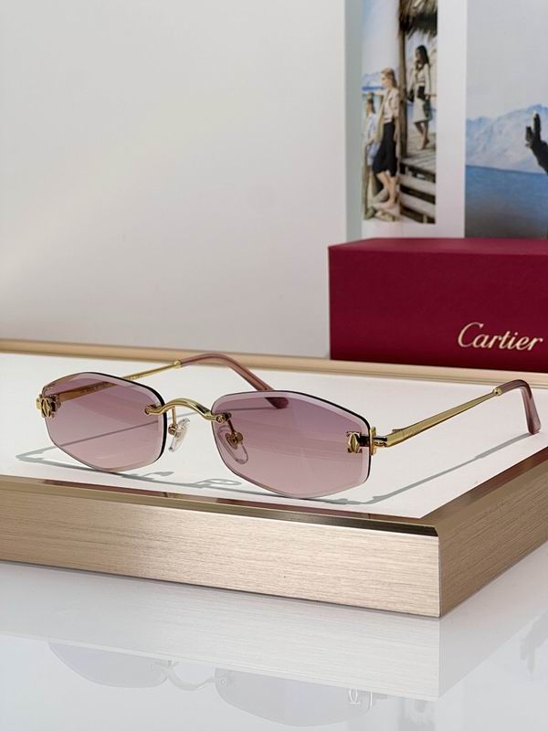 Cartier Glasses smr (143)