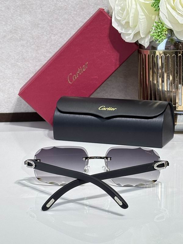 Cartier Glasses smr (1430)