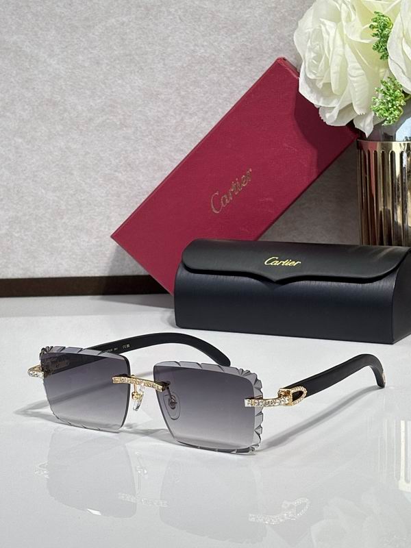 Cartier Glasses smr (1437)