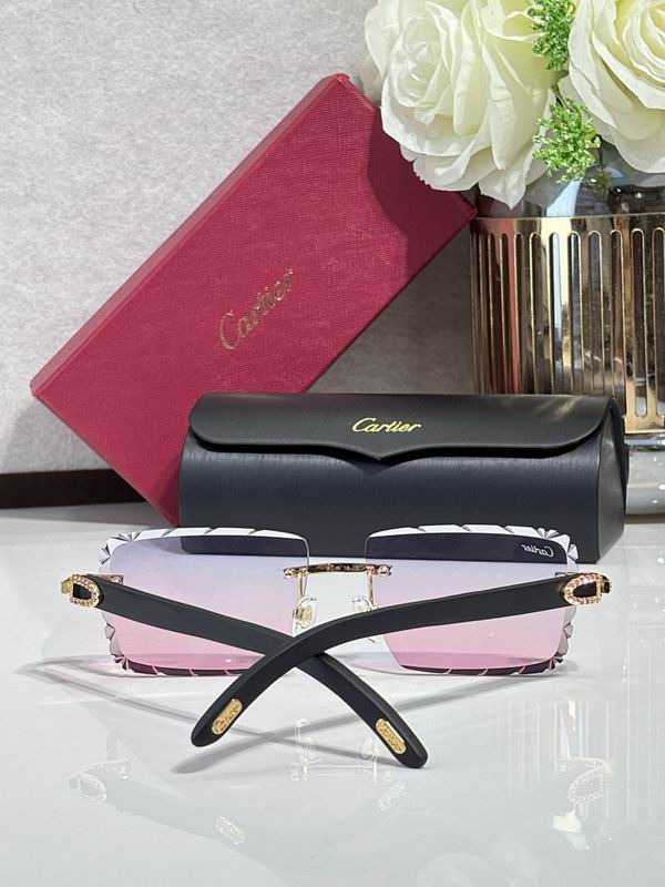 Cartier Glasses smr (1440)