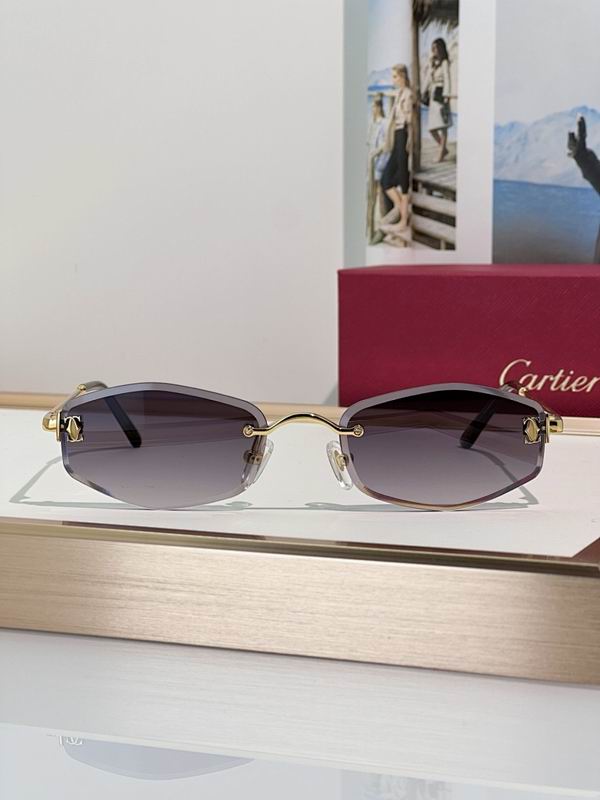 Cartier Glasses smr (146)