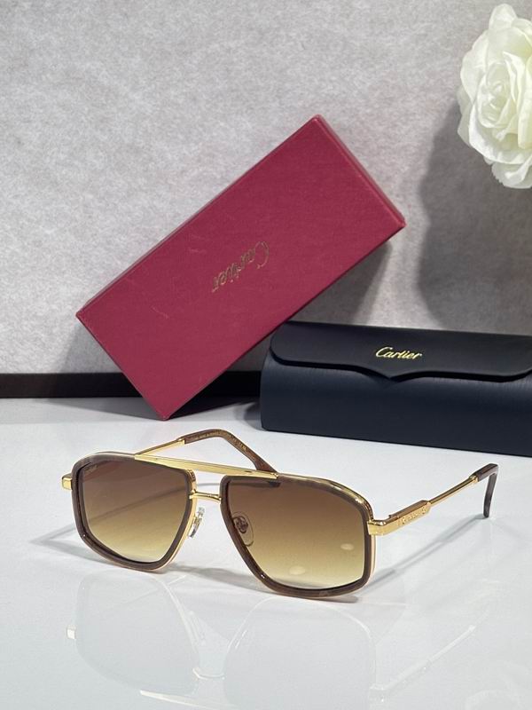 Cartier Glasses smr (1464)