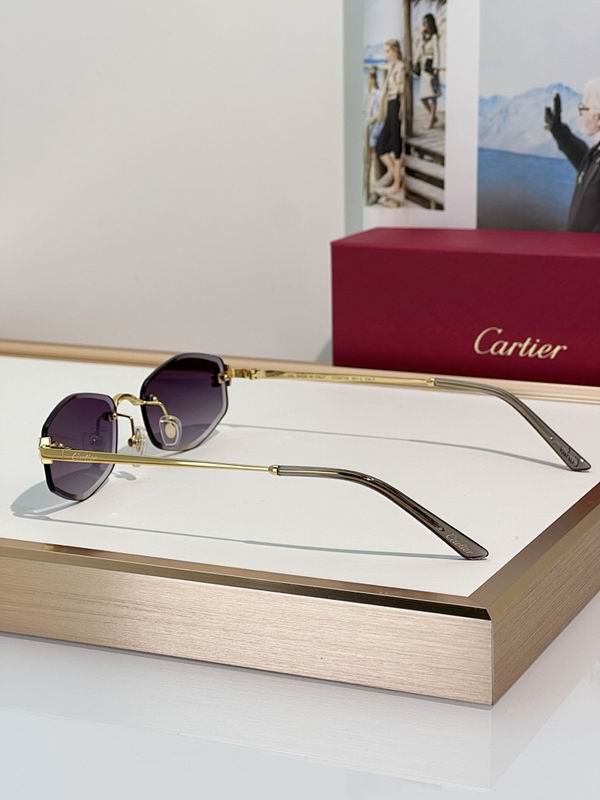 Cartier Glasses smr (147)
