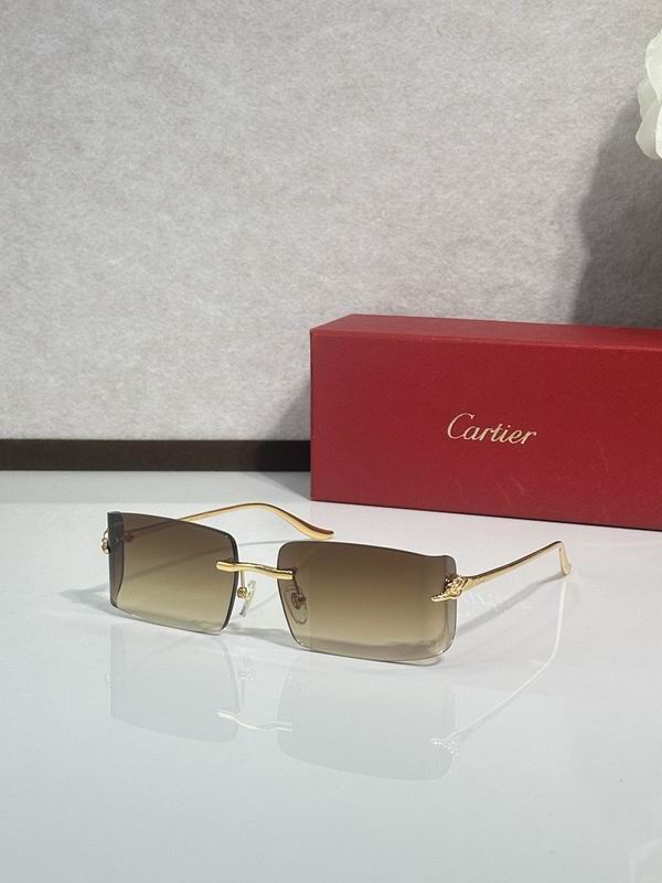 Cartier Glasses smr (1493)