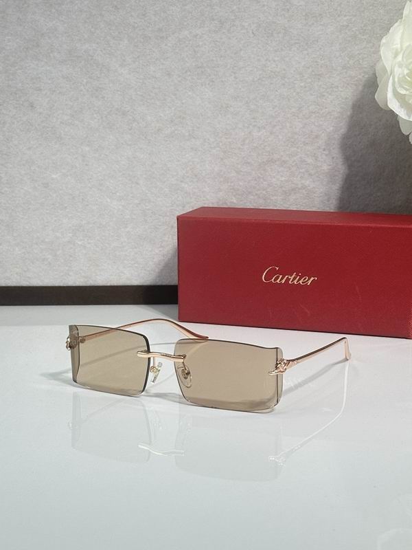 Cartier Glasses smr (1496)