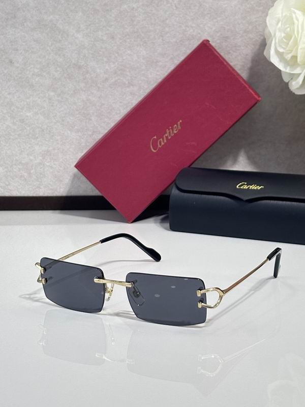 Cartier Glasses smr (1520)