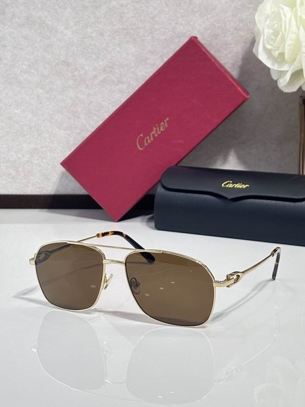 Cartier Glasses smr (1528)