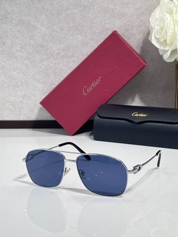 Cartier Glasses smr (1529)