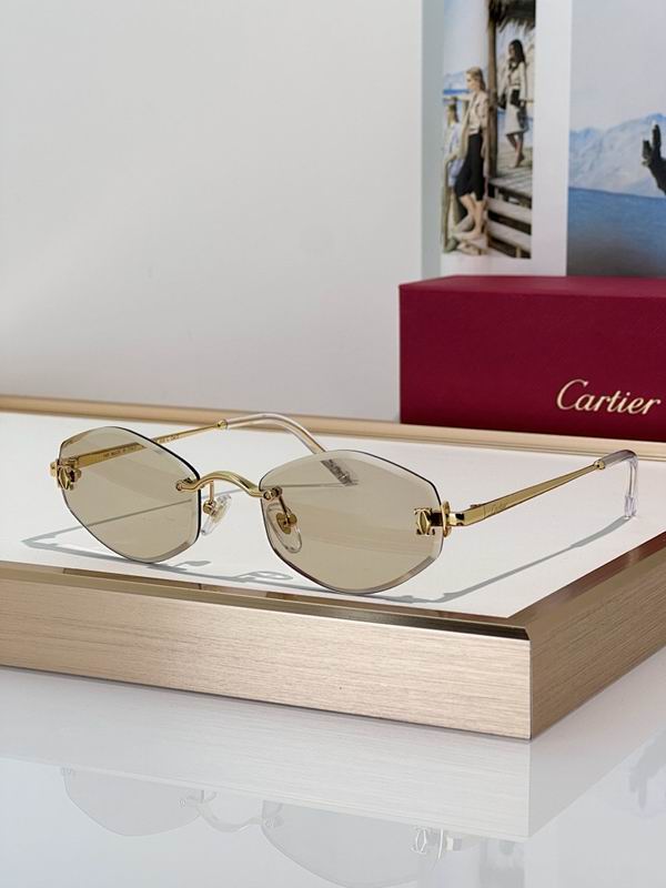 Cartier Glasses smr (153)