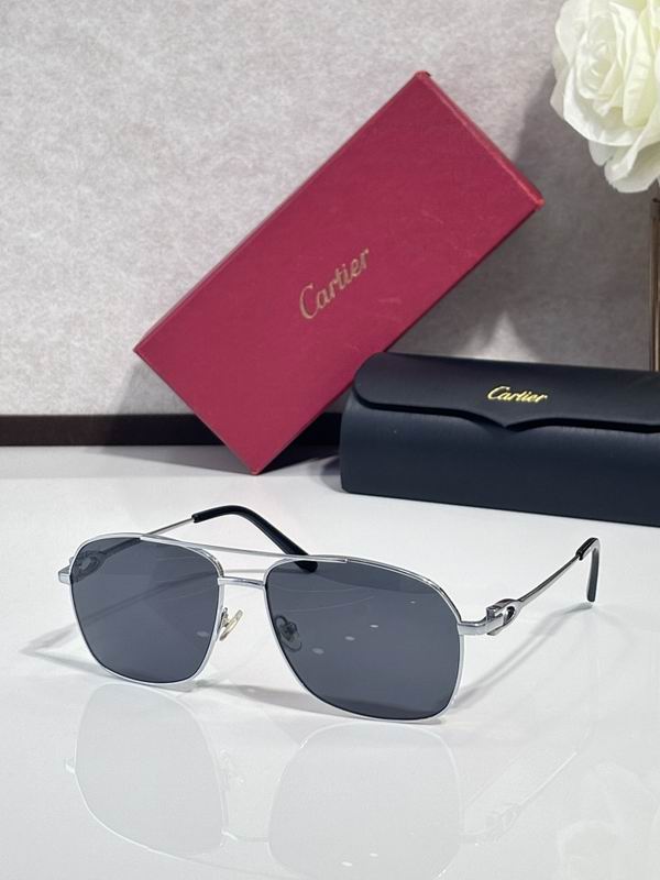 Cartier Glasses smr (1530)