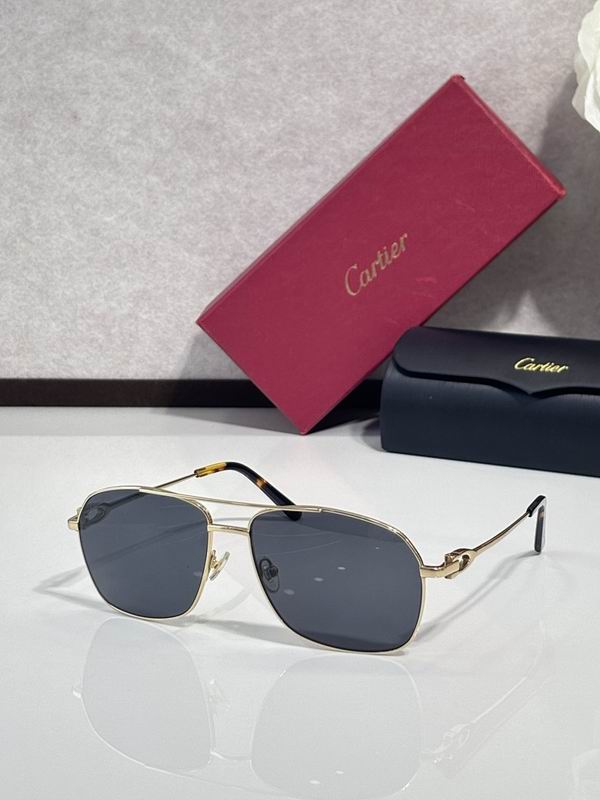 Cartier Glasses smr (1533)