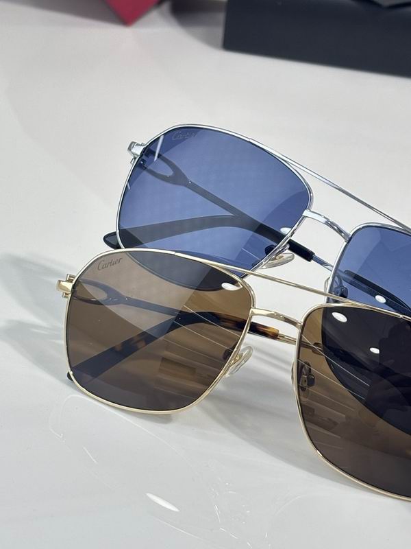 Cartier Glasses smr (1535)