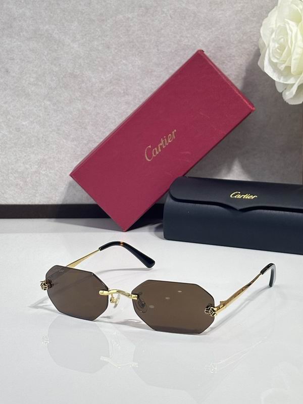 Cartier Glasses smr (1539)