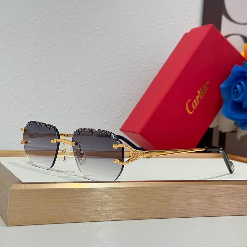 Cartier Glasses smr (1547)