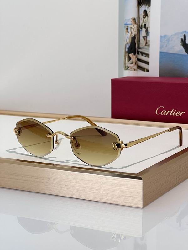 Cartier Glasses smr (155)