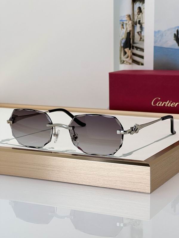 Cartier Glasses smr (161)