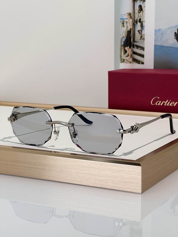 Cartier Glasses smr (162)