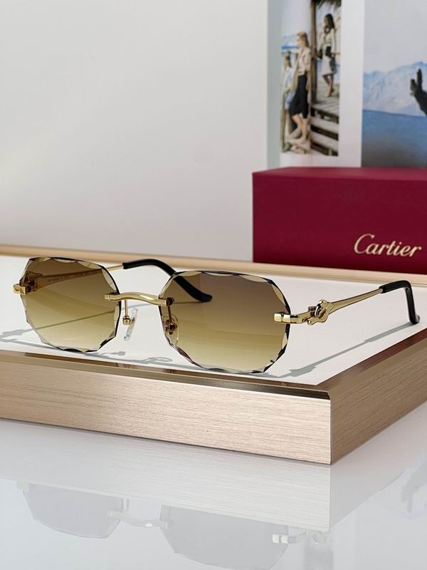 Cartier Glasses smr (165)