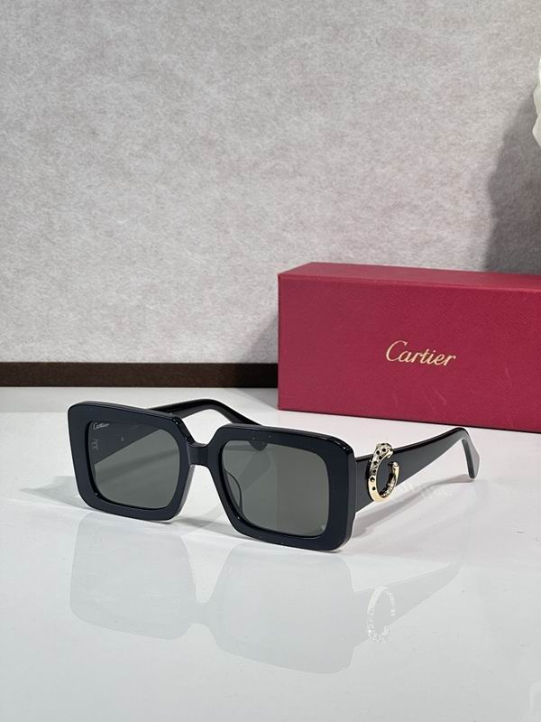 Cartier Glasses smr (1679)