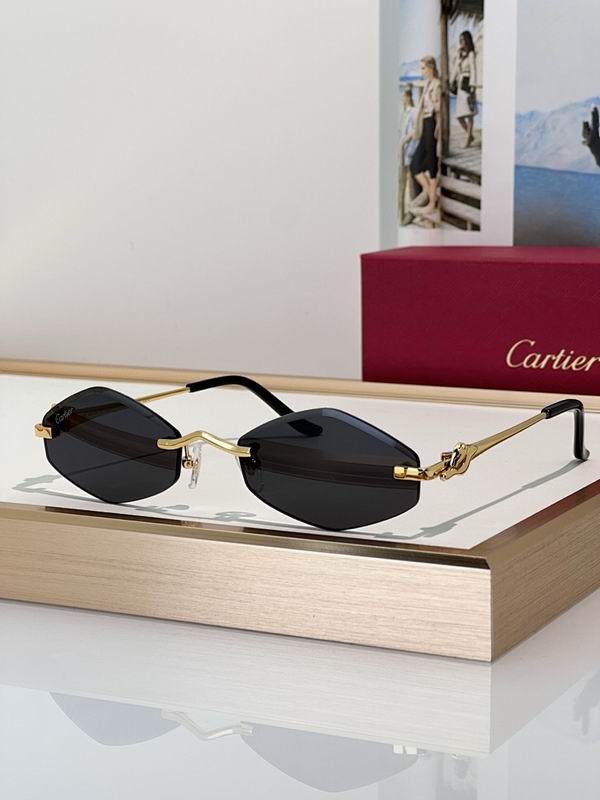 Cartier Glasses smr (171)
