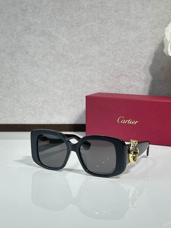 Cartier Glasses smr (1776)