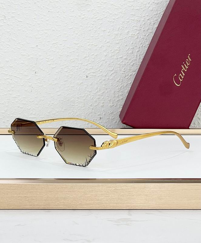 Cartier Glasses smr (18)