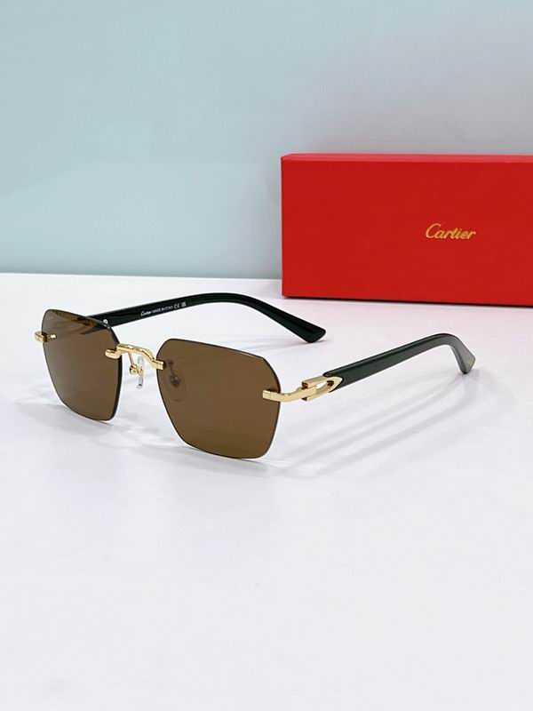 Cartier Glasses smr (180)