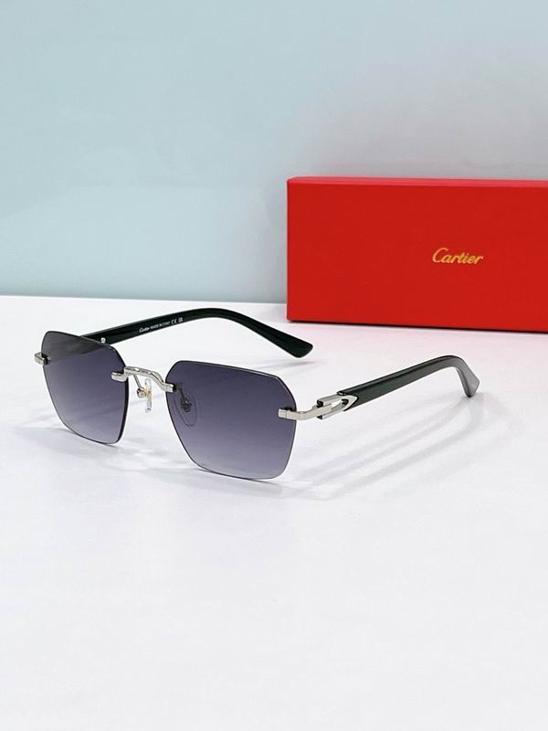 Cartier Glasses smr (181)