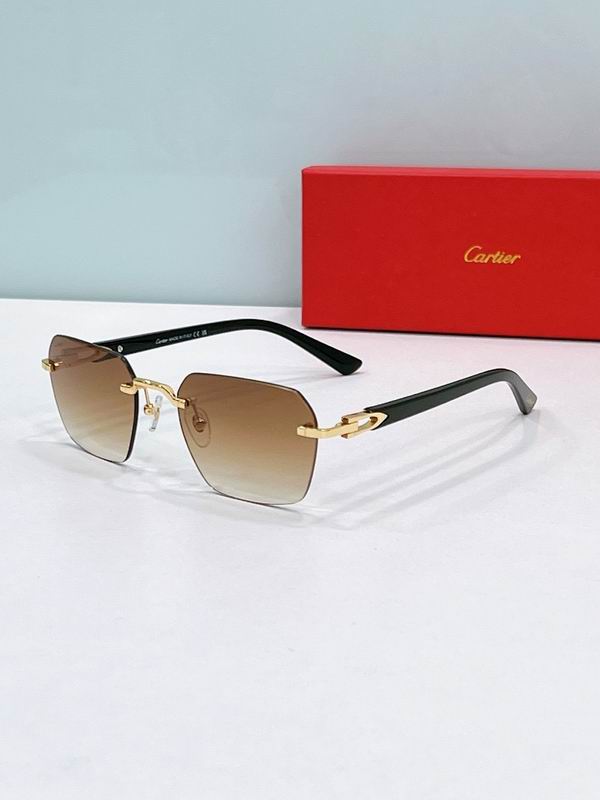 Cartier Glasses smr (182)