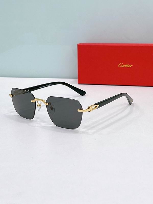 Cartier Glasses smr (183)