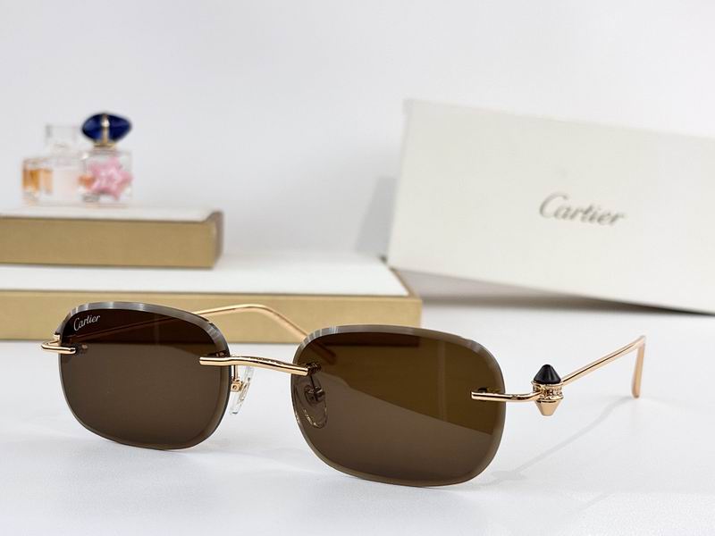 Cartier Glasses smr (1833)